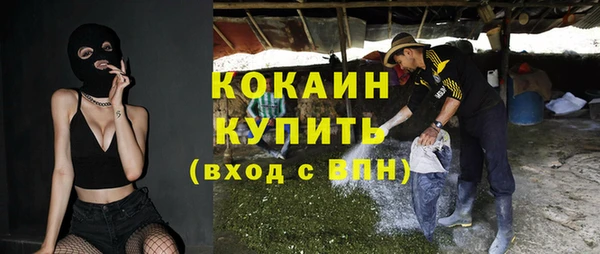 твердый Алексин